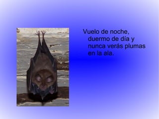 Vuelo de noche,
duermo de día y
nunca verás plumas
en la ala.
 