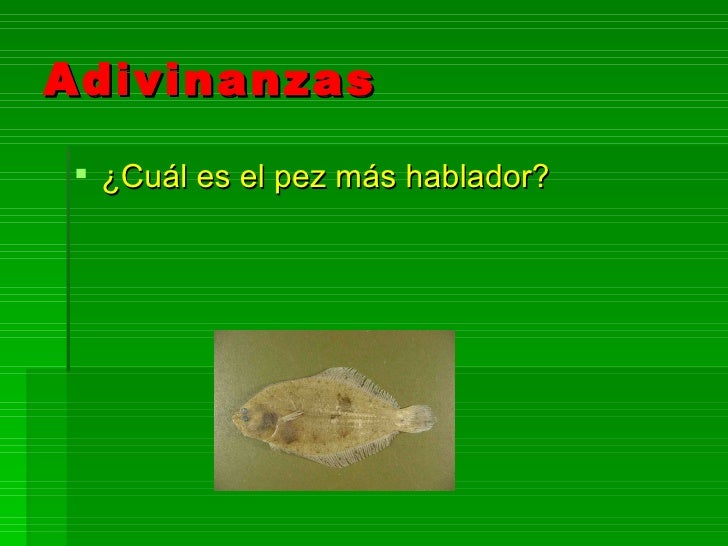 Adivinanza De Un Pez Adivinanzas