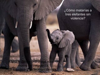 ¿Cómo matarías a
tres elefantes sin
violencia?
A uno le pones una braga rosa, se
muere de vergüenza.
Y los otros 2 se mueren de risa.
 
