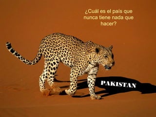 ¿Cuál es el país que
nunca tiene nada que
hacer?
PAKISTAN
 