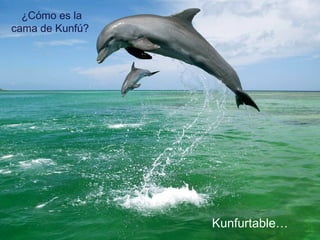 ¿Cómo es la
cama de Kunfú?
Kunfurtable…
 