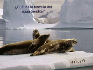 ¿Cuál es la formula del
agua bendita?
H Dios O
 