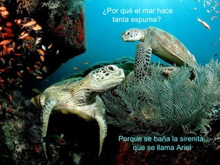 ¿Por qué el mar hace
tanta espuma?
Porque se baña la sirenita,
que se llama Ariel
 