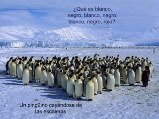 ¿Qué es blanco,
negro, blanco, negro,
blanco, negro, rojo?
Un pingüino cayéndose de
las escaleras
 