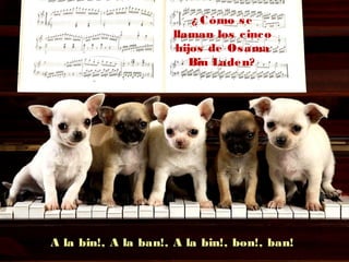 ¿ Cómo se
llaman los cinco
hijos de Osama
Bin Laden?
A la bin!, A la ban!, A la bin!, bon!, ban!
 