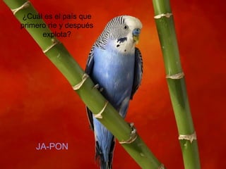 ¿Cuál es el país que
primero ríe y después
explota?
JA-PON
 