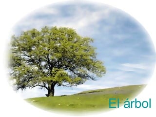 El árbol 