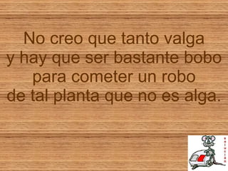 No creo que tanto valga y hay que ser bastante bobo para cometer un robo de tal planta que no es alga. 