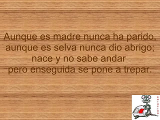 Aunque es madre nunca ha parido, aunque es selva nunca dio abrigo; nace y no sabe andar  pero enseguida se pone a trepar. 