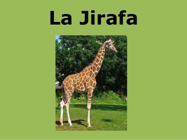 Adivinanzas animales