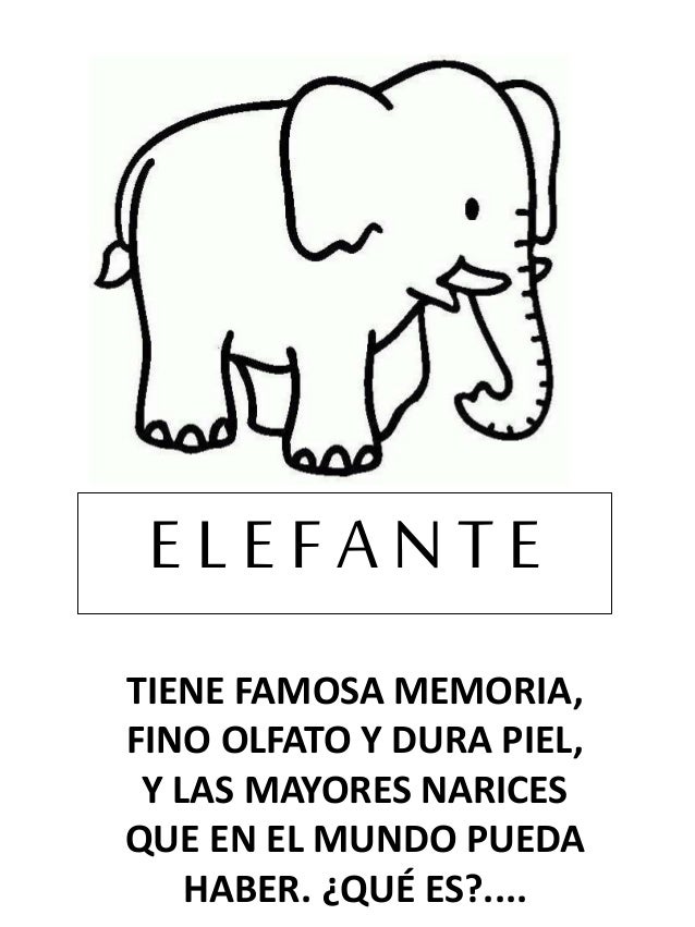 TIENE FAMOSA MEMORIA,
FINO OLFATO Y DURA PIEL,
Y LAS MAYORES NARICES
QUE EN EL MUNDO PUEDA
HABER. ¿QUÉ ES?....
E L E F A N...