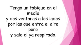 Tengo un tabique en el
medio
y dos ventanas a los lados
por las que entra el aire
puro
y sale el ya respirado.
 