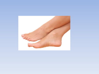 Adivinanzas cuerpo humano