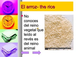 EEll aarrrroozz-- tthhee rriiccee 
 NNoo 
ccoonnoocceess 
ddeell rreeiinnoo 
vveeggeettaall qquuee 
lleeííddoo aall 
rreevvééss eess 
ddeell rreeiinnoo 
aanniimmaall 
 