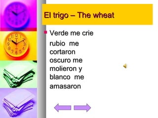 EEll ttrriiggoo –– TThhee wwhheeaatt 
 VVeerrddee mmee ccrriiee 
rruubbiioo mmee 
ccoorrttaarroonn 
oossccuurroo mmee 
mmoolliieerroonn yy 
bbllaannccoo mmee 
aammaassaarroonn 
 