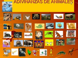 ADIVINANZAS DE ANIMALES
 