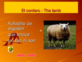 EEll ccoorrddeerroo -- TThhee llaammbb 
PPuuññaaddiittoo ddee 
aallggooddóónn 
qquuee bbrriinnccaa 
ssiinn ttoonn nnii sso...