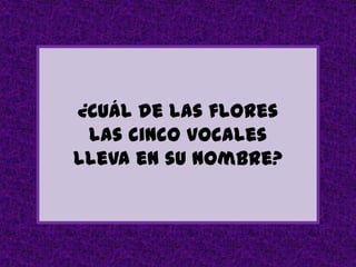 ¿Cuál de las flores
 las cinco vocales
lleva en su nombre?
 