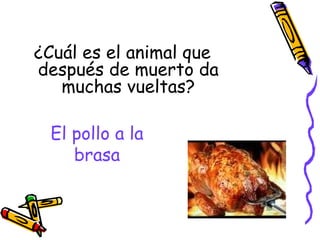 El pollo a la brasa ¿Cuál es el animal que después de muerto da muchas vueltas? 