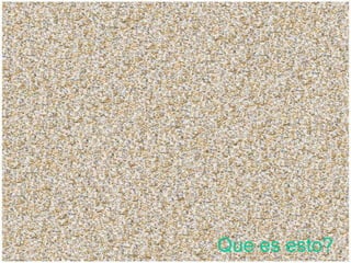 Que es esto?
 