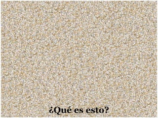 ¿Qué es esto? 