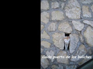 Cuida puerta de los boliches