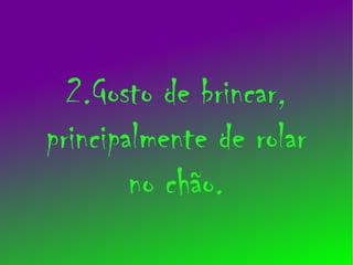 2.Gosto de brincar,
principalmente de rolar
        no chão.
 