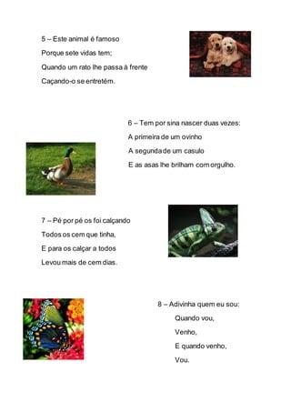 Adivinhas | DOCX