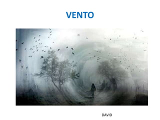VENTODAVID