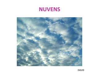 NUVENSDAVID
