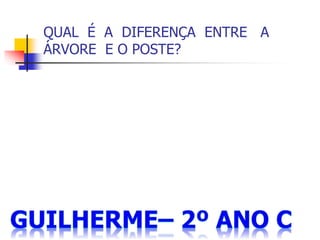 QUAL É A DIFERENÇA ENTRE A
ÁRVORE E O POSTE?
 