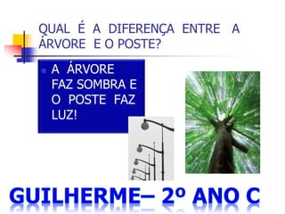 QUAL É A DIFERENÇA ENTRE A
ÁRVORE E O POSTE?
 A ÁRVORE
FAZ SOMBRA E
O POSTE FAZ
LUZ!
 