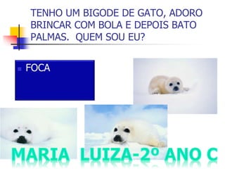TENHO UM BIGODE DE GATO, ADORO
BRINCAR COM BOLA E DEPOIS BATO
PALMAS. QUEM SOU EU?
 FOCA
 