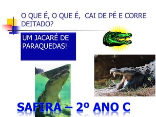 O QUE É, O QUE É, CAI DE PÉ E CORRE
DEITADO?
UM JACARÉ DE
PARAQUEDAS!
 