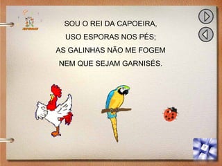 SOU O REI DA CAPOEIRA,
USO ESPORAS NOS PÉS;
AS GALINHAS NÃO ME FOGEM
NEM QUE SEJAM GARNISÉS.
 