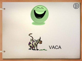 VACA
 