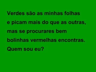 Verdes são as minhas folhas  e picam mais do que as outras,  mas se procurares bem  bolinhas vermelhas encontras. Quem sou eu? 