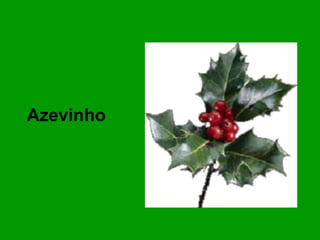 Azevinho  