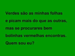 Verdes são as minhas folhas
e picam mais do que as outras,
mas se procurares bem
bolinhas vermelhas encontras.
Quem sou eu?

 