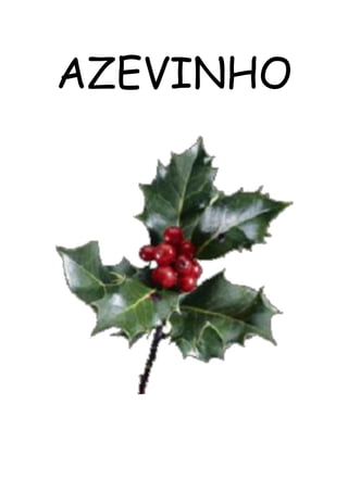 AZEVINHO 
 