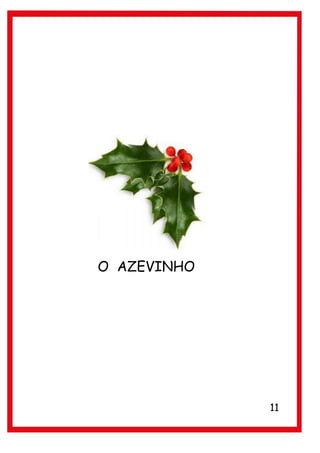 O AZEVINHO




             11
 