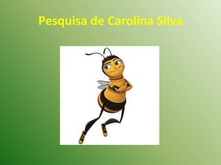 Pesquisa de Carolina Silva 
