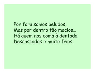 Por fora somos peludos,
Mas por dentro tão macios…
Há quem nos coma à dentada
Descascados e muito frios
 