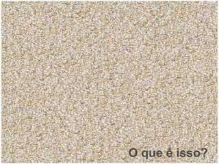 O que é isso? 