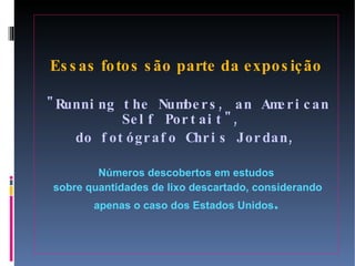 Essas fotos são parte da exposição "Running the Numbers, an American Self Portait",  do fotógrafo Chris Jordan,  Números descobertos em estudos sobre quantidades de lixo descartado, considerando apenas o caso dos Estados Unidos . 