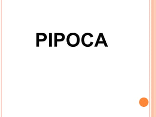 PIPOCA
 