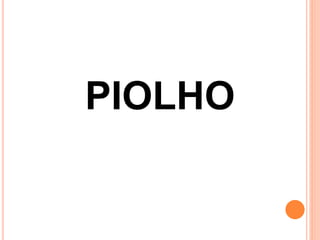 PIOLHO
 