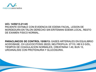 UCI- 14/08/13-21+45
PACIENTE ESTABLE CON EVIDENCIA DE EDEMA FACIAL, LESION DE
MORDEDURA EN TALON DERECHO SIN ERITEMANI EDEMA LOCAL, RESTO
DE EXAMEN FISICO NORMAL.
PARACLINICOS DE CONTROL 15/08/13: GASES ARTERIALES EN EQUILIBRIO
ACIDO/BASE, CH LEUCOCITOSIS 28220, NEUTROFILIA: 27110, HB 9.5 G/DL,
TIEMPOS DE COAGULACION NORMALES, CREATININA 1.49, BUN 15,
UROANALISIS CON PROTEINURIA Y GLUCOSURIA.
 