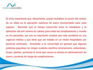 El único tratamiento que, eficazmente, puede neutralizar la acción del veneno
de un ofidio es la aplicación oportuna de suero recomendado para cada
especie. Recordar que el tiempo trascurrido entre la mordedura y la
aplicación del anti veneno es valioso para evitar las complicaciones y muerte
en los pacientes; por eso es importante recalcar que este accidente es una
urgencia médica y que tiene que ser tratado en un medio hospitalario por
personal entrenado. Enseñarle a la comunidad en general que algunas
prácticas populares sin ningún sustento científico (chamanismo, sobanderos,
brujos, plantas, químicos) lo único que causa es retraso en administración de
suero y aumento de riesgo de complicaciones.
 