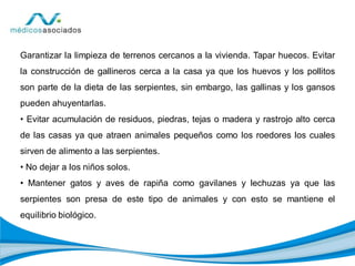 Garantizar la limpieza de terrenos cercanos a la vivienda. Tapar huecos. Evitar
la construcción de gallineros cerca a la casa ya que los huevos y los pollitos
son parte de la dieta de las serpientes, sin embargo, las gallinas y los gansos
pueden ahuyentarlas.
• Evitar acumulación de residuos, piedras, tejas o madera y rastrojo alto cerca
de las casas ya que atraen animales pequeños como los roedores los cuales
sirven de alimento a las serpientes.
• No dejar a los niños solos.
• Mantener gatos y aves de rapiña como gavilanes y lechuzas ya que las
serpientes son presa de este tipo de animales y con esto se mantiene el
equilibrio biológico.
 